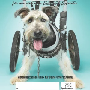 Rolli Reparatur Spero