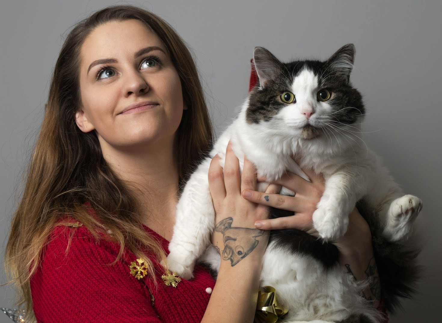 Hunde, Katzen, Pferde: Tierische Helden des Alltags